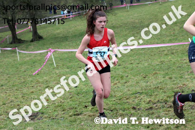 Womens under-17s and under-20s, Start Fitness NEHL, Thornley Hill Farm, Peterlee, County Durham. Photo: David T. Hewitson/Sports for All Pics